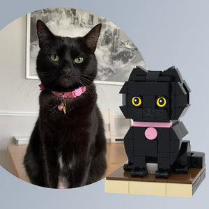 Personalisierte Katzen-Miniatur aus Klemmbausteinen – DIY Figur zum Selbstaufbau – 1 Katze